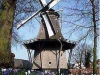 korenmolen-de-zandhaas