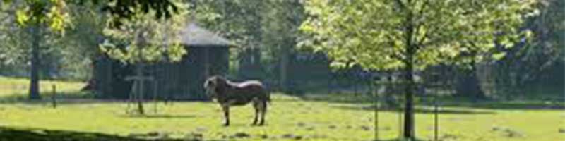 Velserbeek_park_800x200