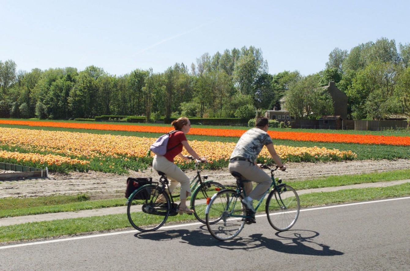 Radurlaub Holland mit Dutch Pedelec ToursDutch Pedelec Tours