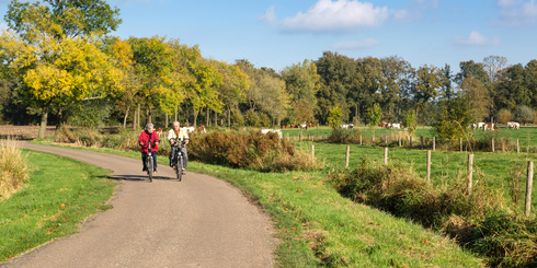 self guided bike tours holland